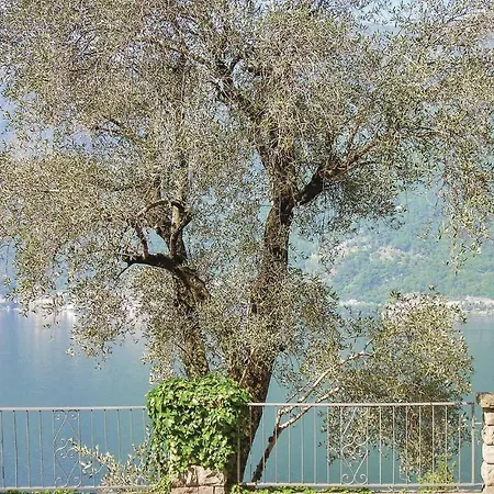 Azalea I Ferienhaus Nesso